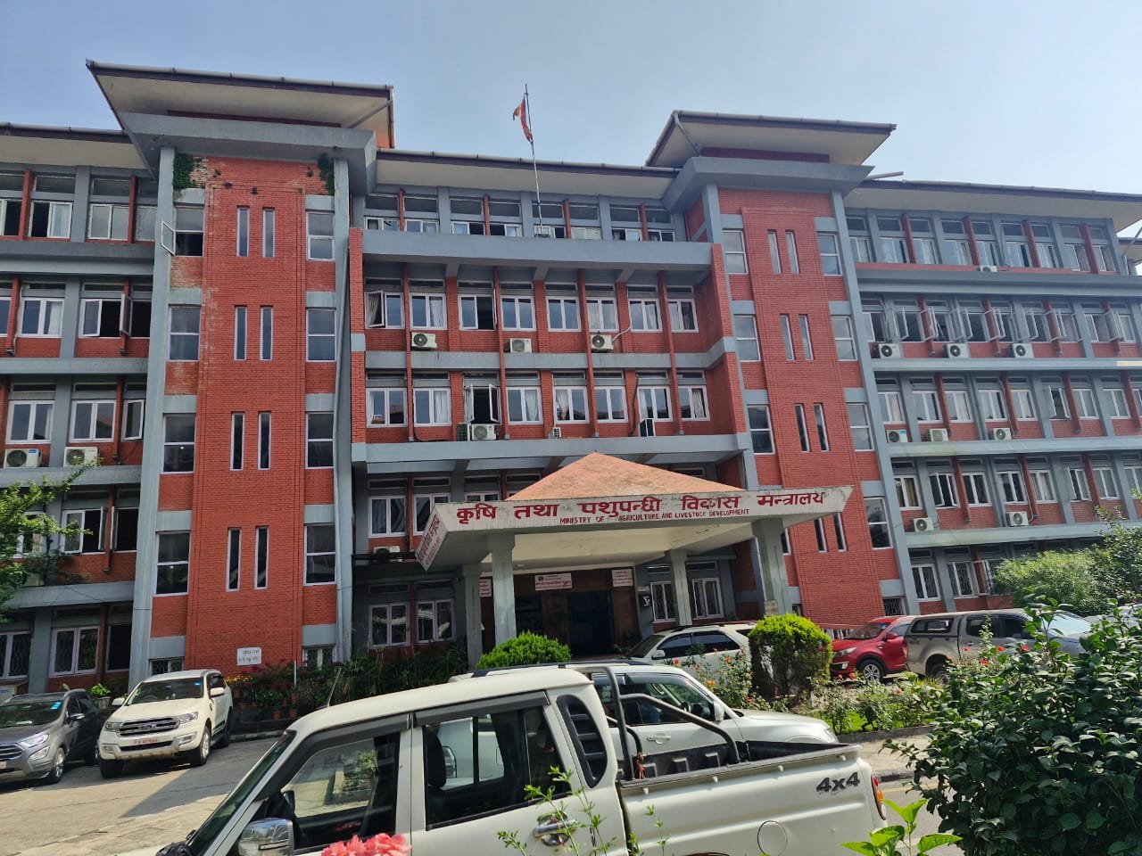 लम्पी स्किन र अफ्रिकन स्वाईन फिवर अवस्था बुझन टोली परिचालन