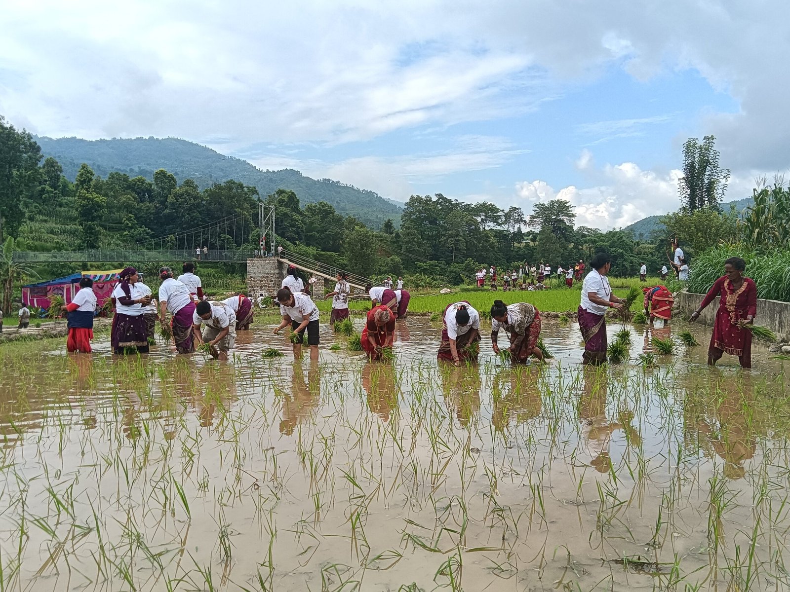 २२औँ राष्ट्रिय धान दिवस विर्तावेसीमा