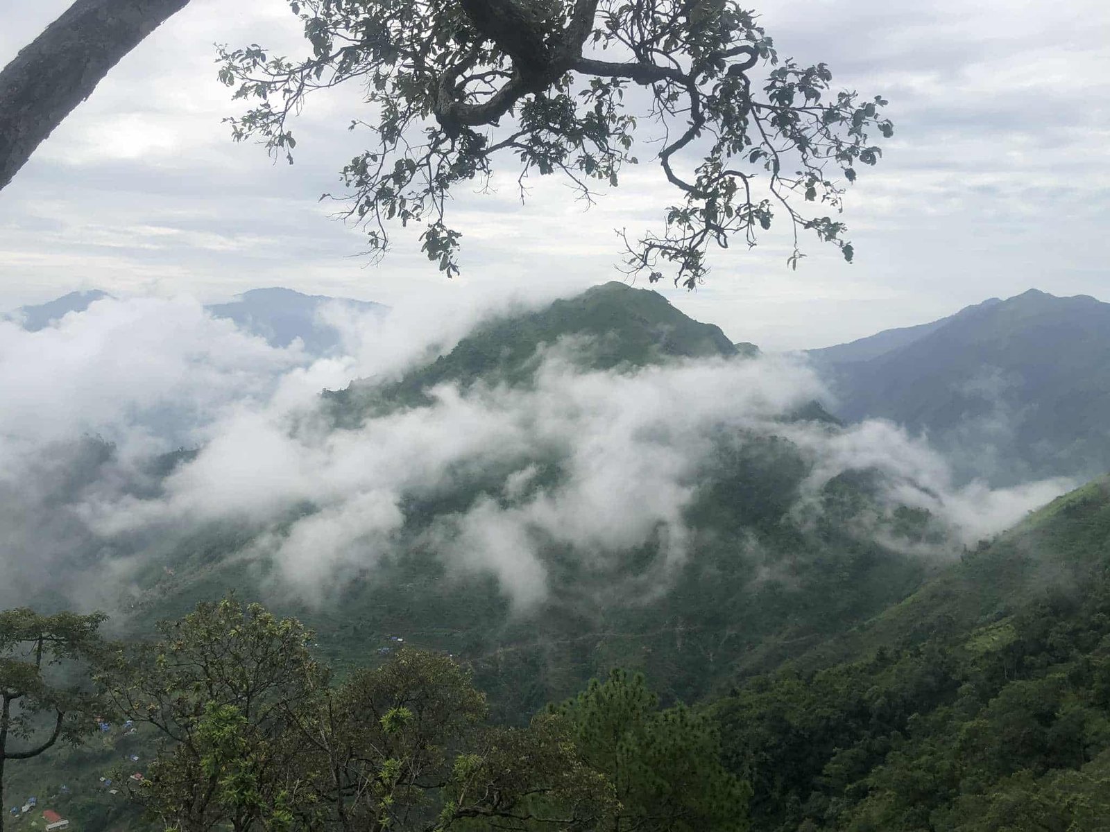 सोलीघोप्टे धार्मिक बन हस्तान्तरण ः धार्मिक पर्यटन क्षेत्र बनाउन उपभोक्ता सक्रिय