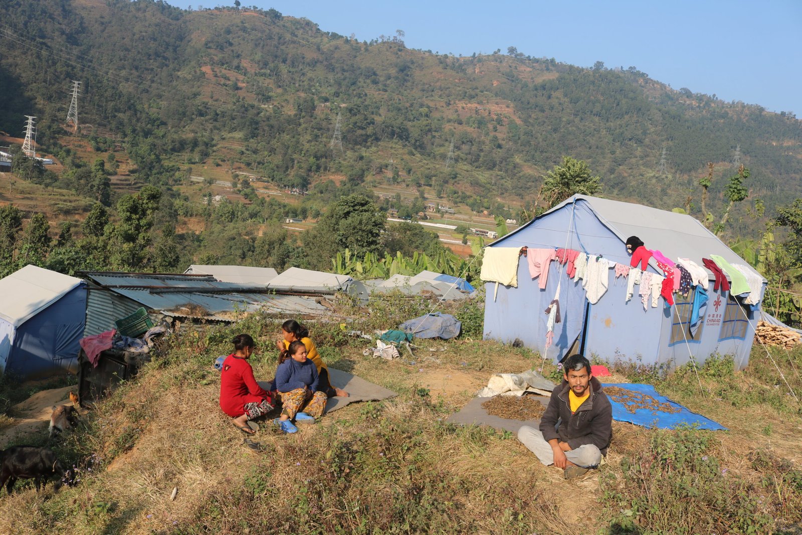 चामबास पहिराे पीडितकाे पीडा : भाेटमाग्न आए, काम गरेनन्