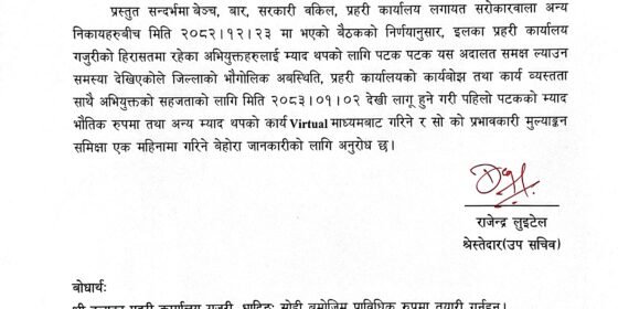 धादिङ जिल्ला अदालतद्वारा भर्चुअल माध्यमबाट म्याद थप गर्ने व्यवस्था सुरु