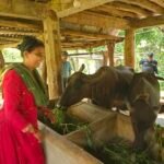 परम्परागत खेतीबाट व्यावसायिकता र पोषण सुरक्षातर्फको यात्रामा विपन्नवर्ग