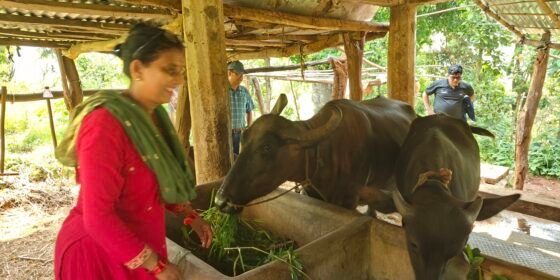 परम्परागत खेतीबाट व्यावसायिकता र पोषण सुरक्षातर्फको यात्रामा विपन्नवर्ग
