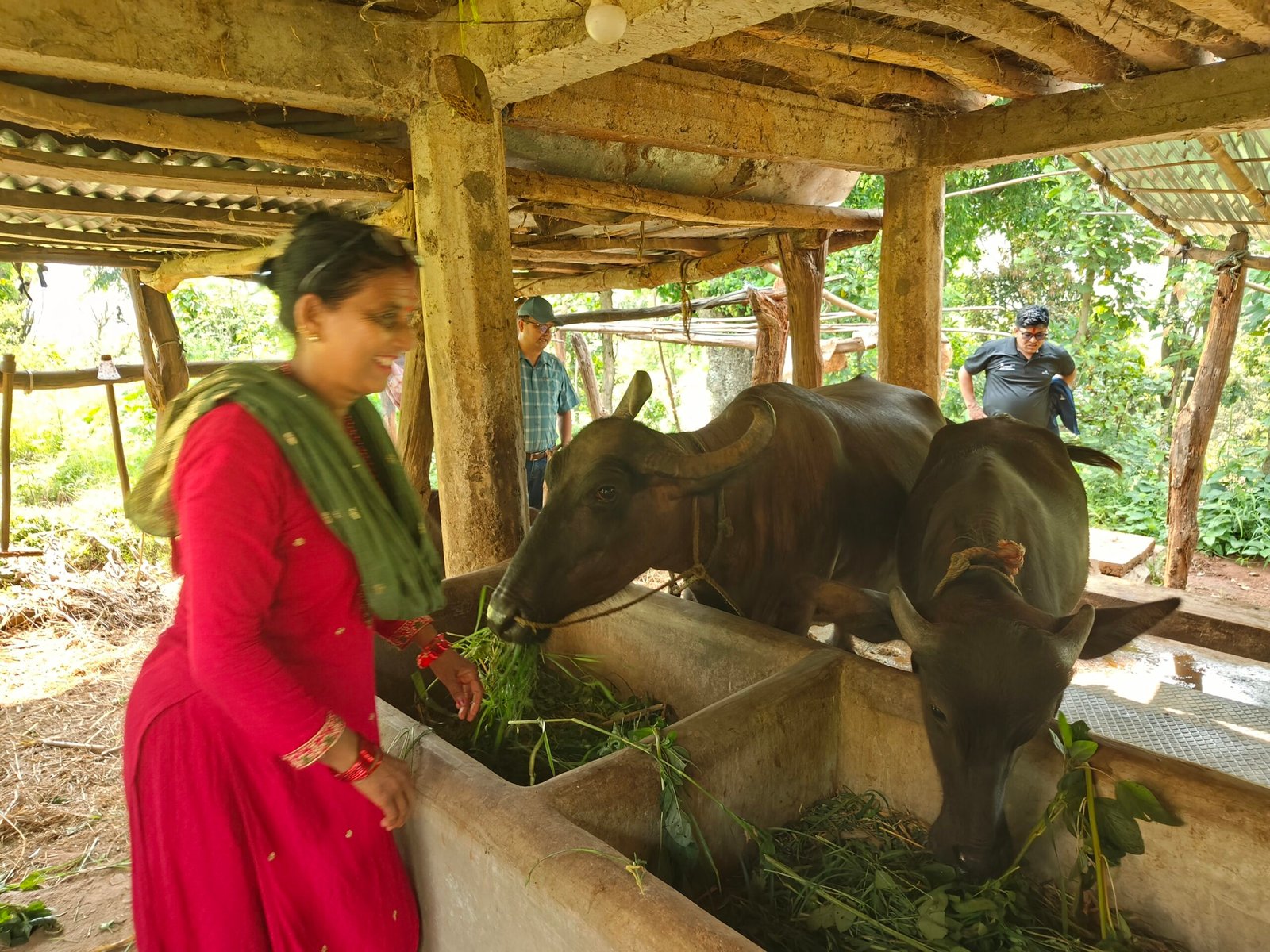 परम्परागत खेतीबाट व्यावसायिकता र पोषण सुरक्षातर्फको यात्रामा विपन्नवर्ग