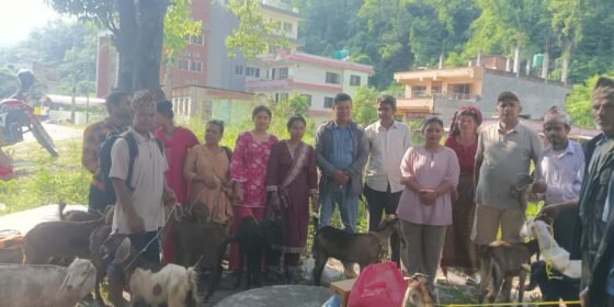 गल्छीमा अपाङ्गता भएका ४४ जनालाई  व्यक्तिका लागि बीउपुँजी वितरण