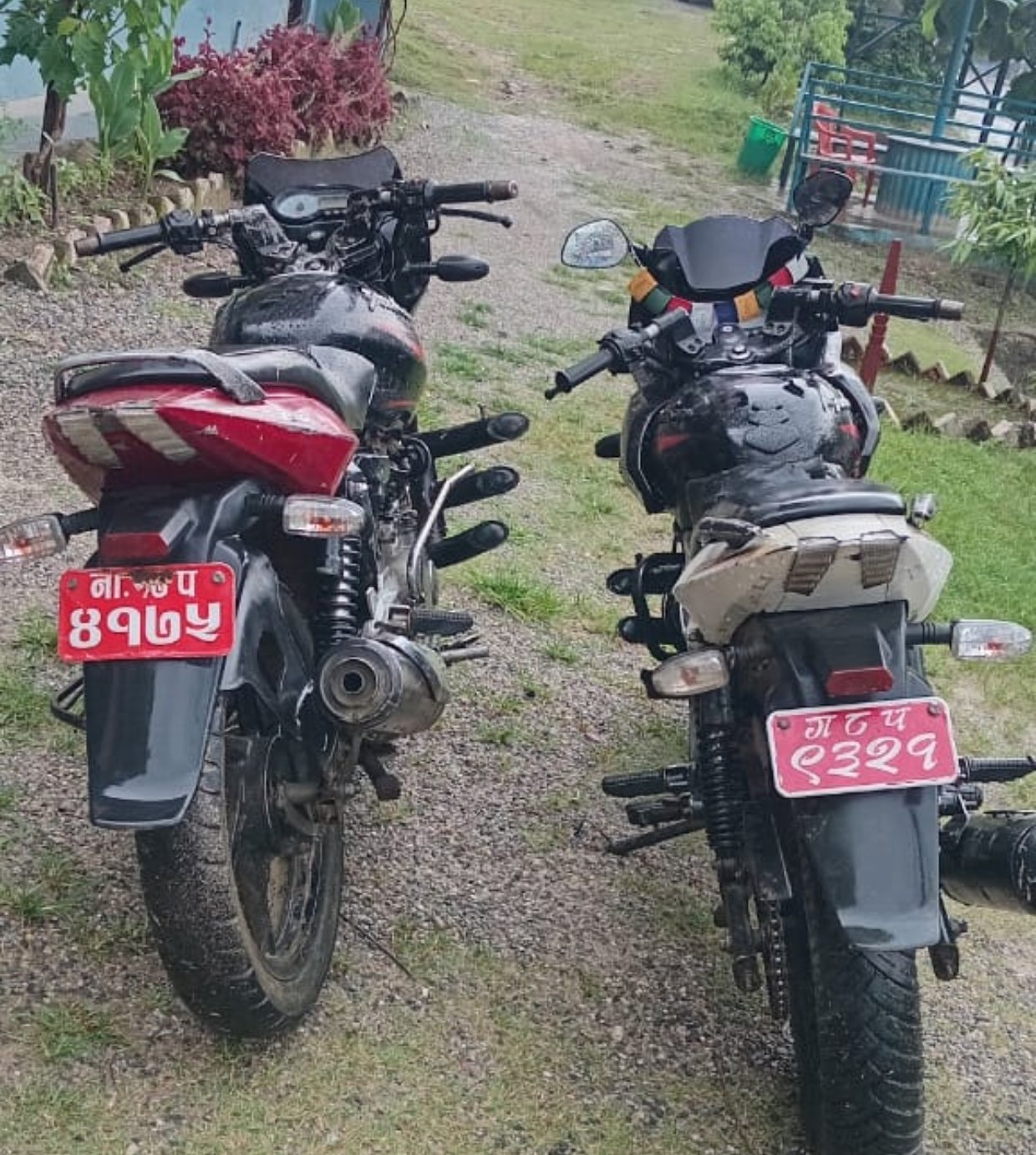 जेन्जी आन्दाेलनमा कारागारबाट भागेका अभियुक्त पुन: चाेरी आराेपमा पक्राउ