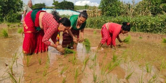 असारे भाका संरक्षणमा कटहरेका आमाहरु