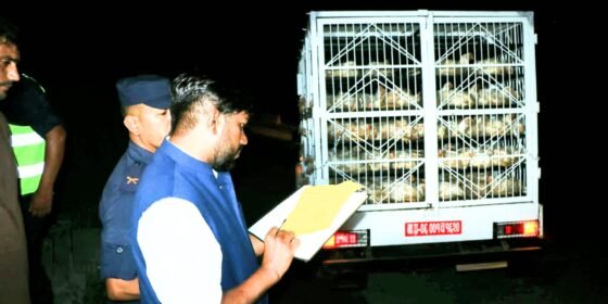 धादिङकाे सिमानामा बर्ड फ्लू राेक्न नाकामा कडा निगरानी