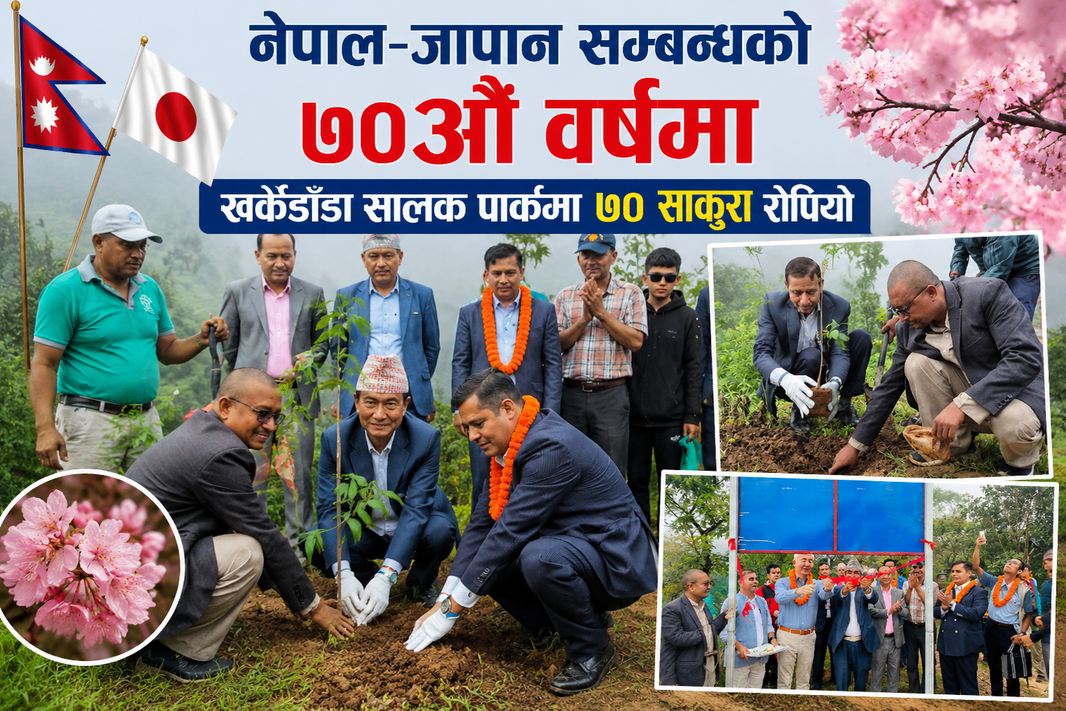 नेपाल जापान सम्बन्धकाे ७० औँ वर्षमा खर्केडाँडा सालक पार्का ७० साकुरा राेपियाे