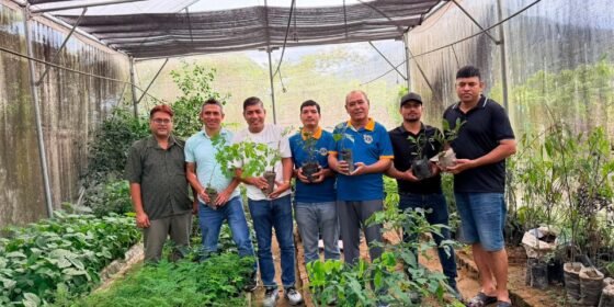 घरघरबाट लायनले सुरु गर्‍यो वृक्षारोपण अभियान