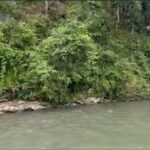 थाेपल ड्यामबाट बगेका घलेकाे मृत्यु