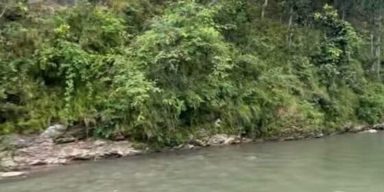 थाेपल ड्यामबाट बगेका घलेकाे मृत्यु