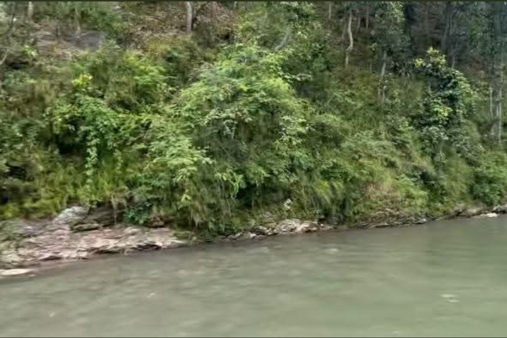 थाेपल ड्यामबाट बगेका घलेकाे मृत्यु