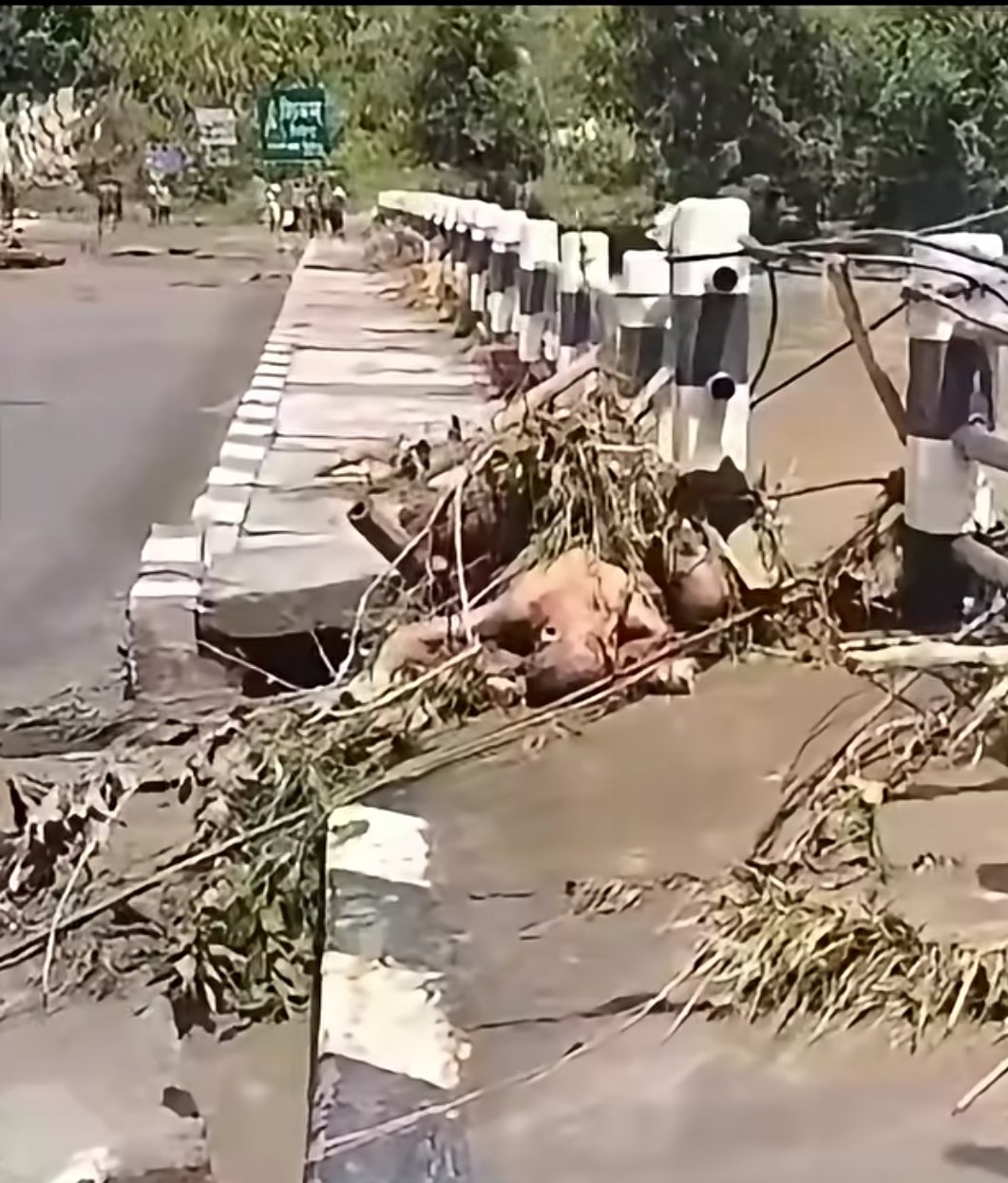 धादिङमा १६ शव फेला, दुई मानव अङ्ग बरामद