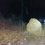 कृष्णभीरमा ठूलो ढुङ्गासहित पहिरो खस्दा पृथ्वी  राजमार्ग अवरुद्ध